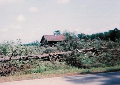 Home of Mariah Harvey Baugham and Prince Albert Baugham 1950 - 1970
Taken in 2000 in Rich Square, NC. 
House was destroyed in 2000.
